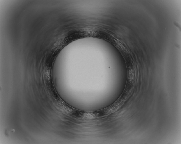 X0000096650613200802191244