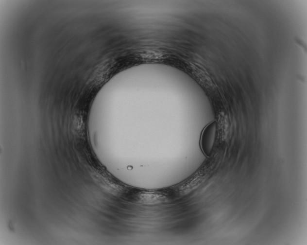 X0000096650614200802191244