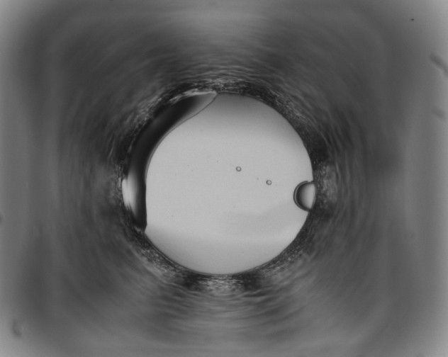 X0000096650615200802191244
