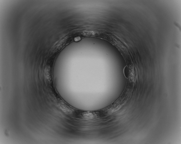 X0000096650616200802191244