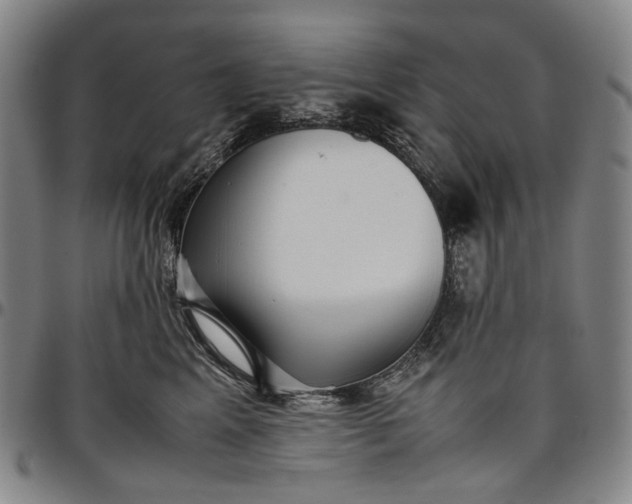 X0000096650617200802191244