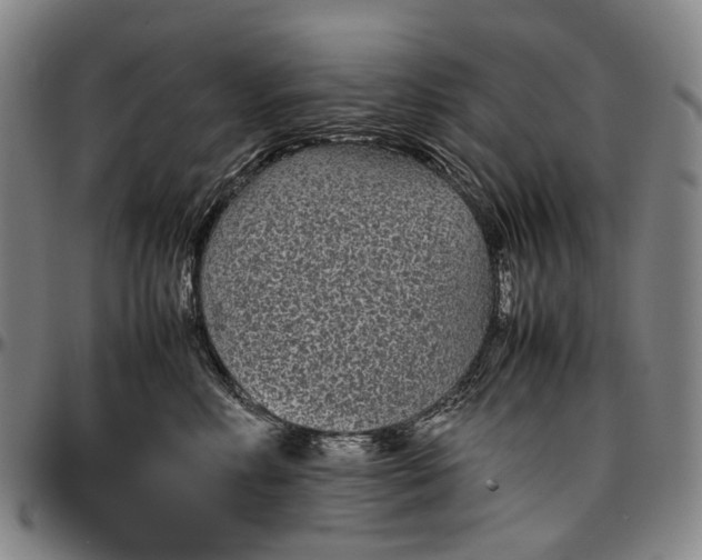 X0000096650618200802191244