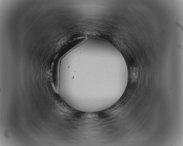 X0000096650619200802191244