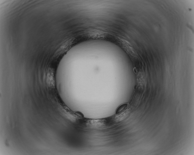 X0000096650622200802191244