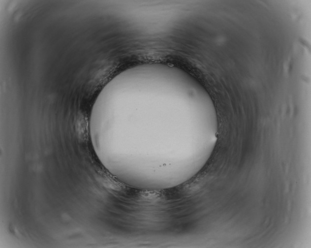 X0000096650624200802191244