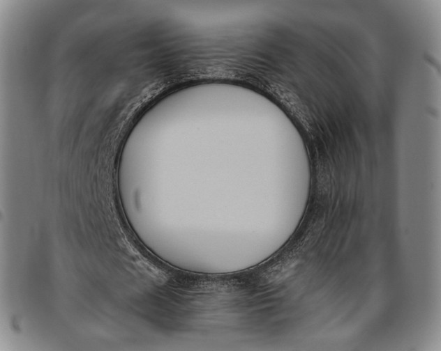 X0000096650625200802191243