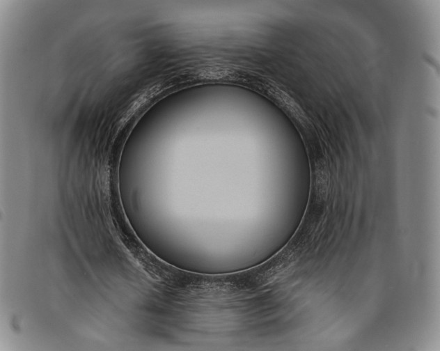 X0000096650626200802191243