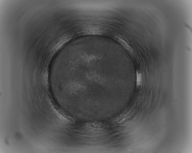 X0000096650627200802191243