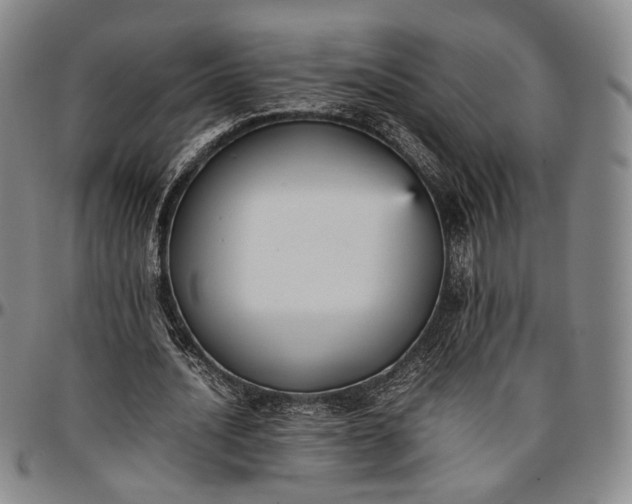 X0000096650628200802191243