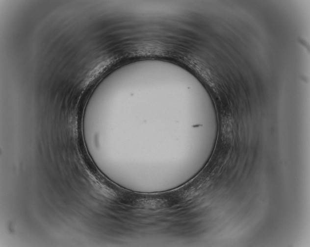 X0000096650629200802191243