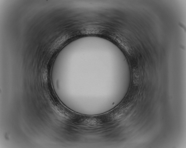 X0000096650631200802191243