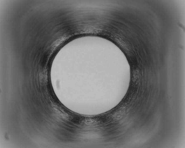 X0000096650632200802191243