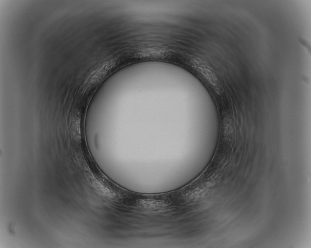 X0000096650633200802191243