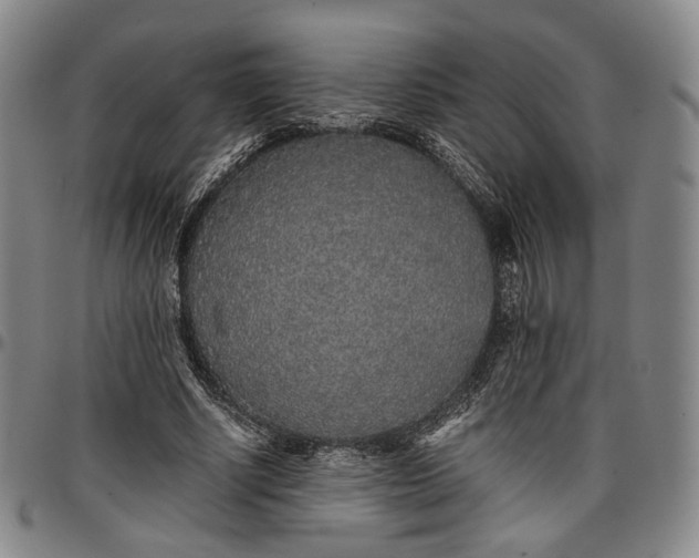 X0000096650634200802191243
