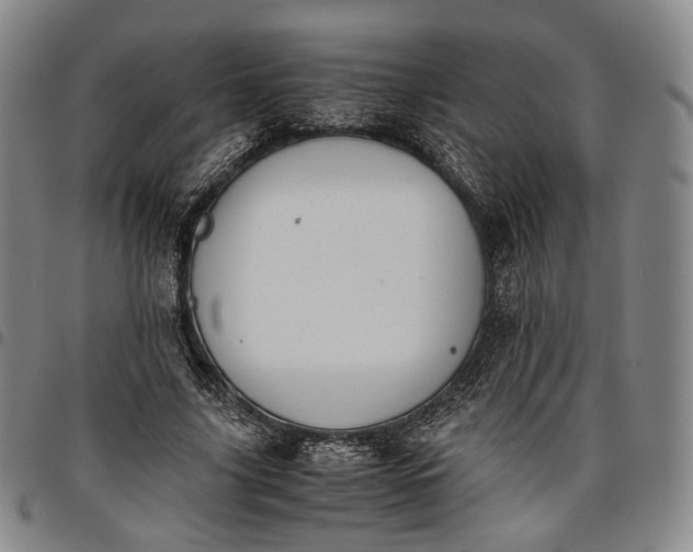 X0000096650635200802191243