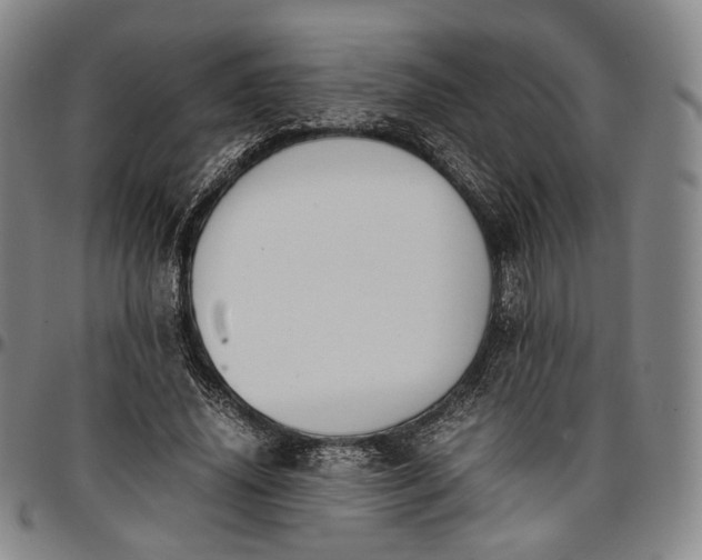 X0000096650636200802191243