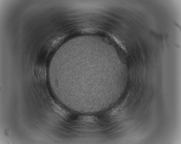 X0000096650637200802191243