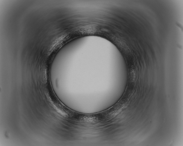 X0000096650638200802191243