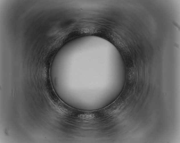 X0000096650639200802191243