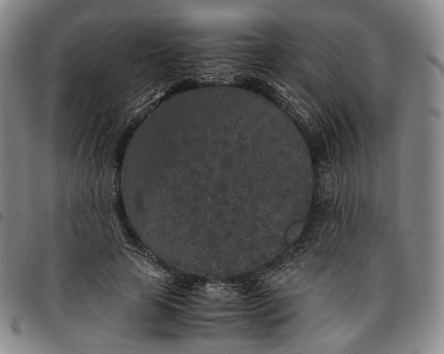 X0000096650641200802191243