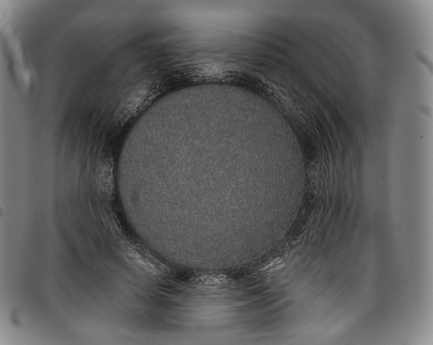 X0000096650642200802191243