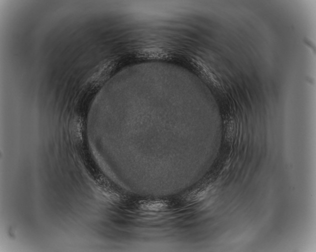 X0000096650643200802191243