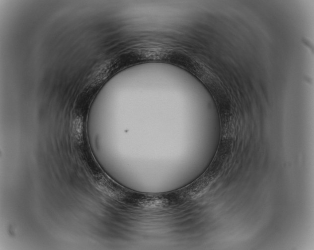 X0000096650646200802191244