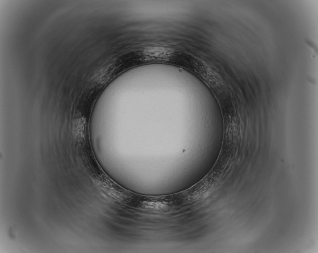X0000096650649200802191244