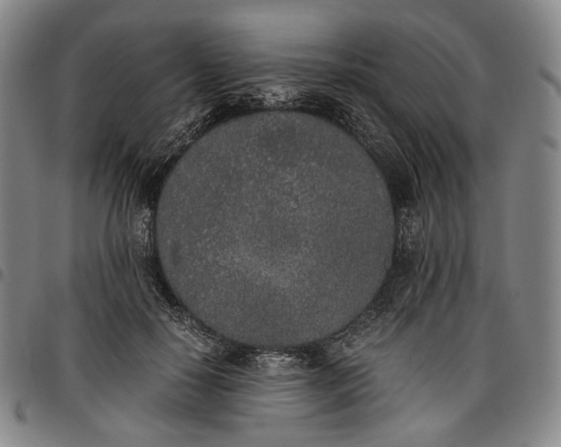 X0000096650650200802191244
