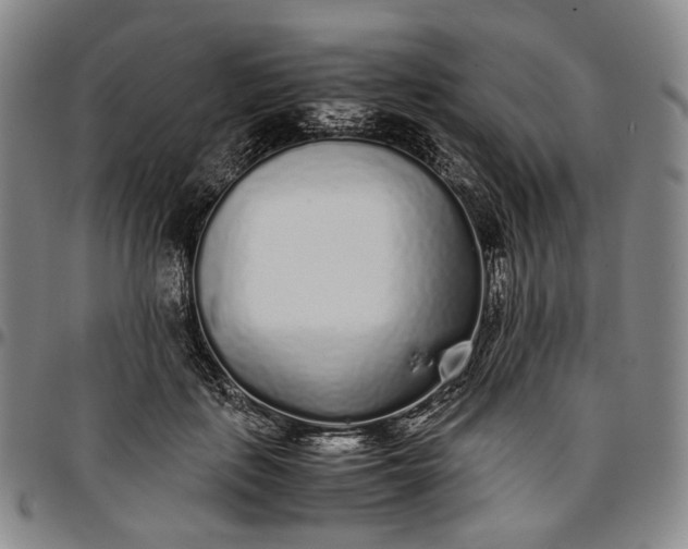 X0000096650651200802191244