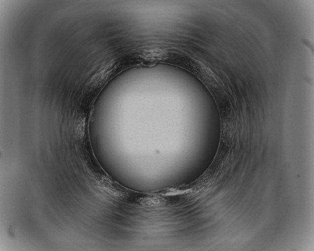 X0000096650652200802191244