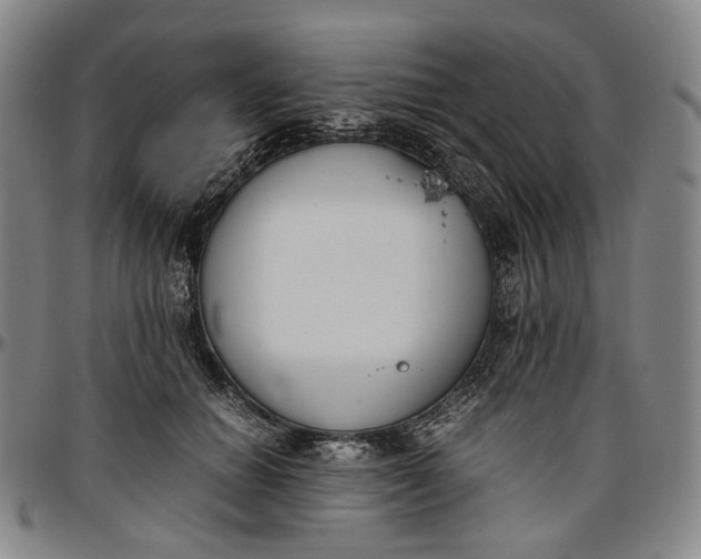 X0000096650654200802191244