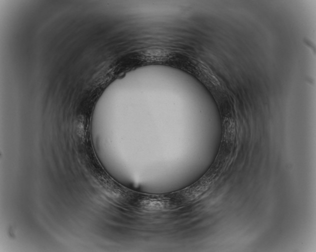 X0000096650655200802191244