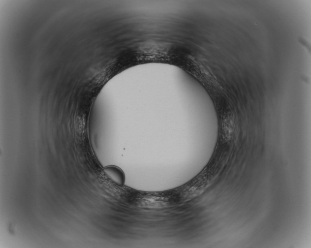 X0000096650657200802191244