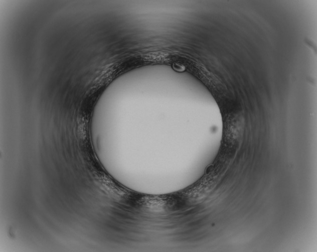 X0000096650658200802191244