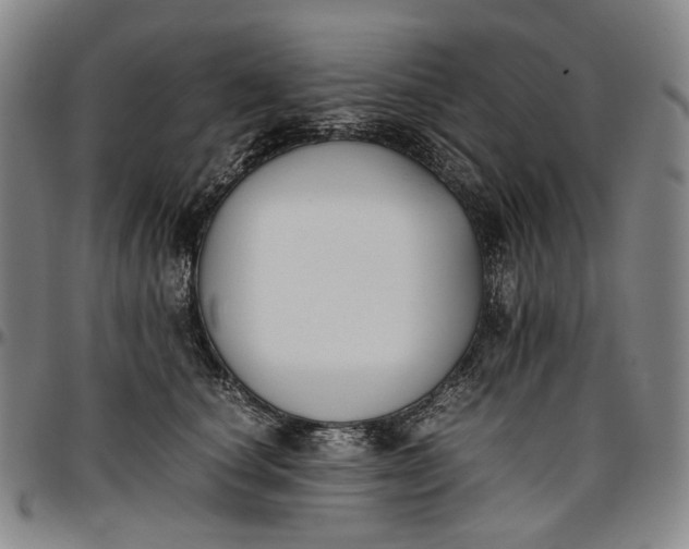 X0000096650660200802191244