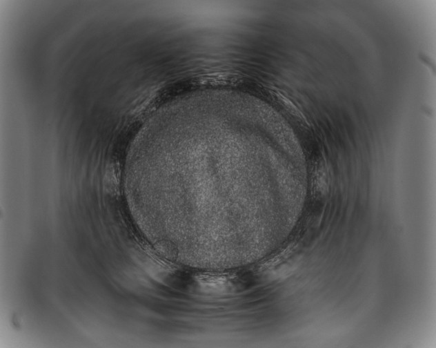 X0000096650661200802191244