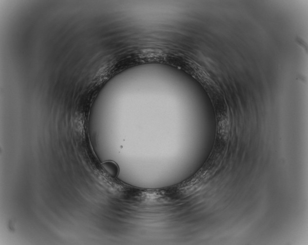 X0000096650662200802191244