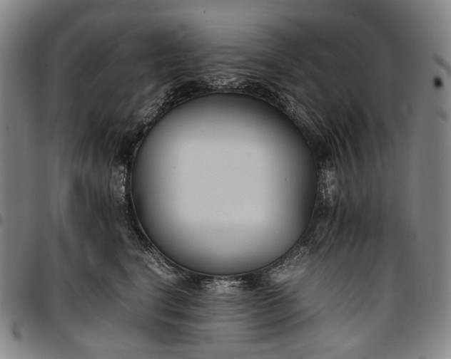 X0000096650664200802191244