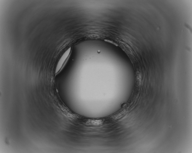 X0000096650665200802191244