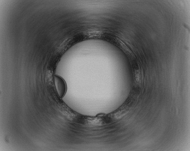 X0000096650667200802191244
