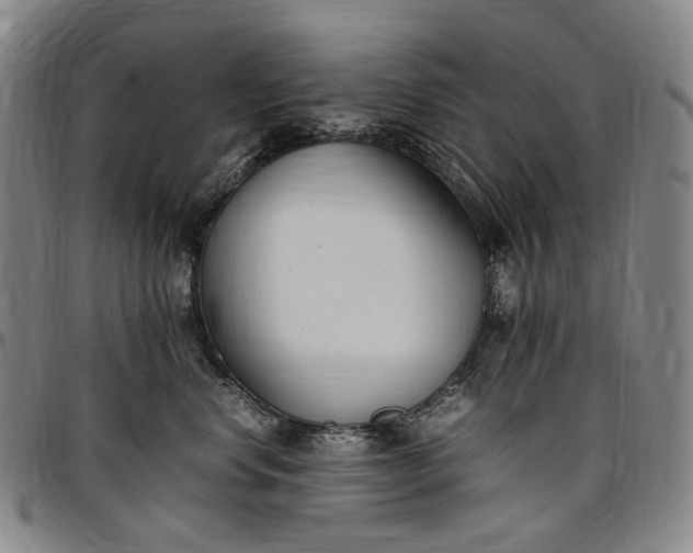 X0000096650668200802191244