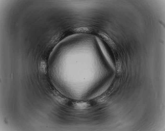 X0000096650669200802191244