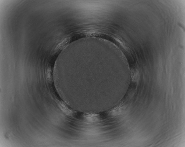 X0000096650670200802191244