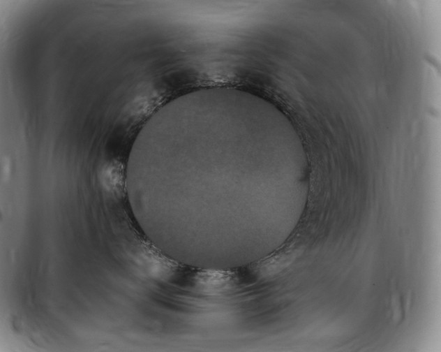 X0000096650672200802191244
