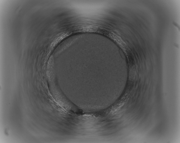X0000096650673200802191243