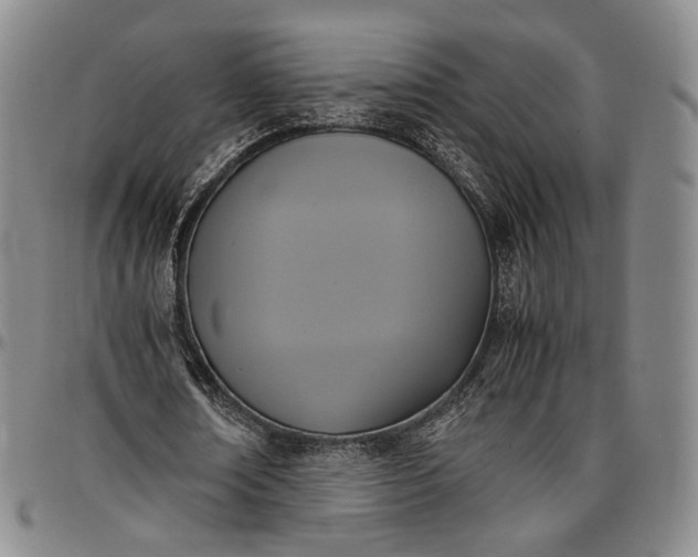 X0000096650674200802191243
