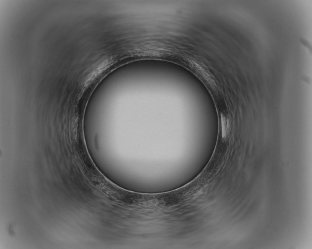 X0000096650675200802191243