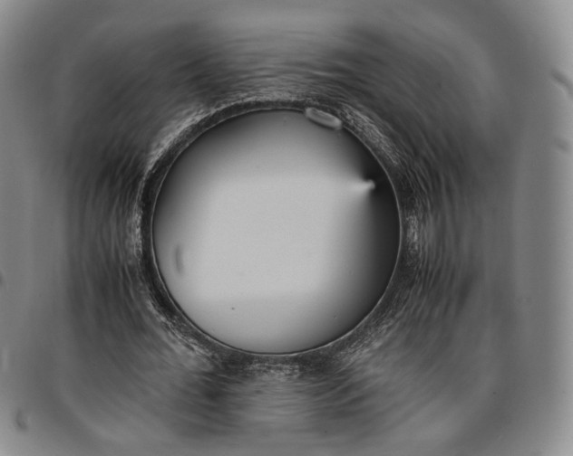 X0000096650676200802191243