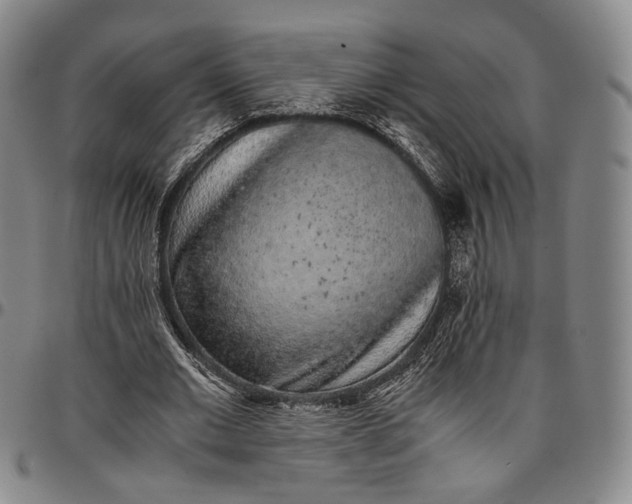 X0000096650677200802191243